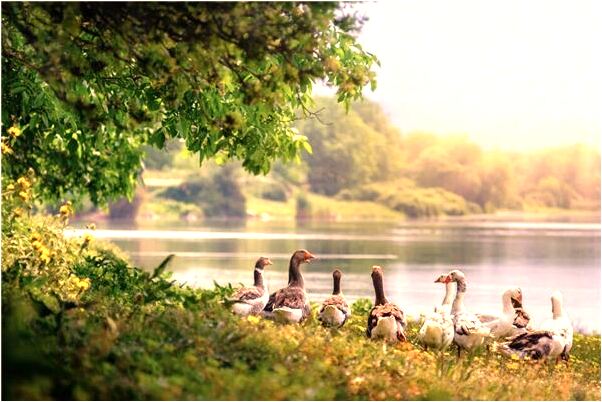 夢見死去的奶奶為我擔心有什麼徵兆_周公解夢官網