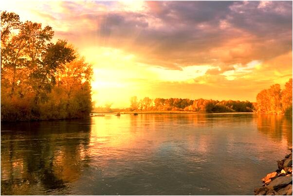 夢到青蛇咬自己腿有什麼含義_周公解夢官網