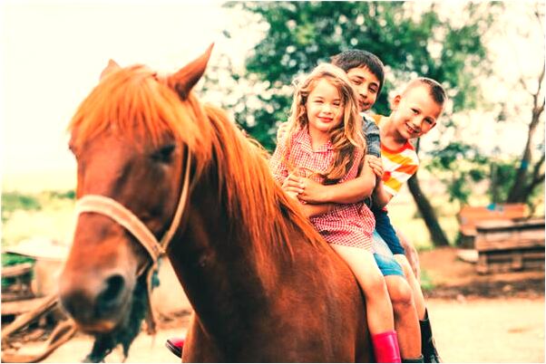 夢到了山上結冰有什麼意思嗎_周公解夢官網