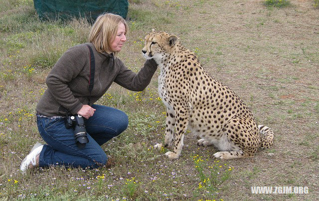 夢見和喜歡的人性交_周公解夢夢到和喜歡的人性交是什麼意思_做夢夢見和喜歡的人性交好不好_周公解夢官網