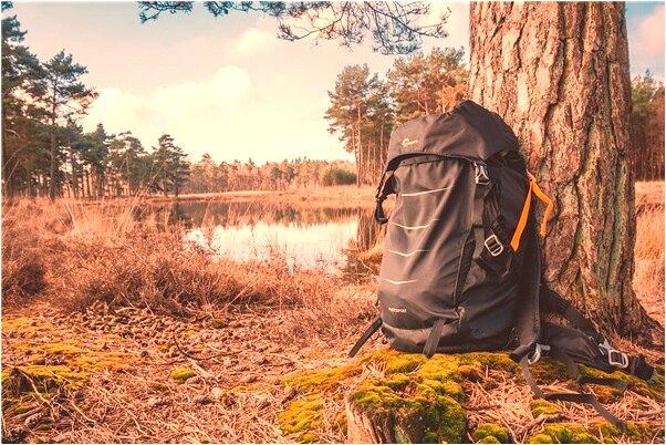 夢見我和老公一起抓到一條魚好不好_周公解夢官網