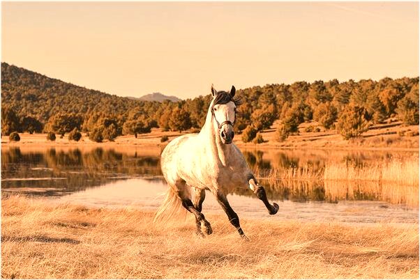 夢見國中同學一起打鬧怎么樣_周公解夢官網