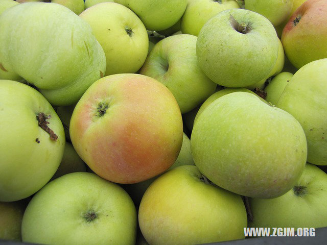 夢見頭上長蟲子_周公解夢夢到頭上長蟲子是什麼意思_做夢夢見頭上長蟲子好不好_周公解夢官網