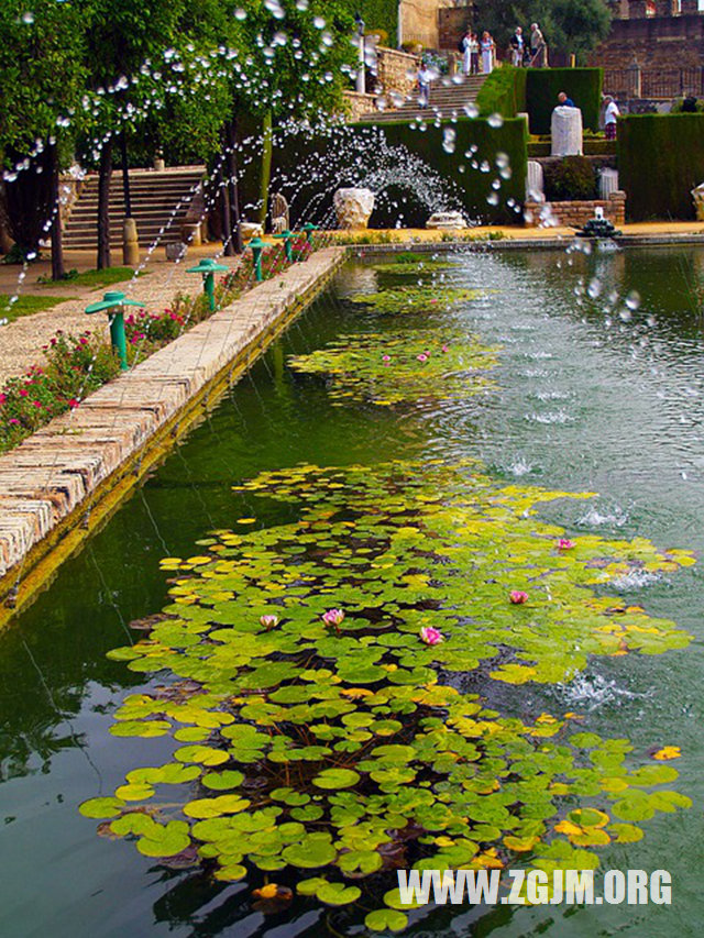 夢見別人穿白孝衣_周公解夢夢到別人穿白孝衣是什麼意思_做夢夢見別人穿白孝衣好不好_周公解夢官網