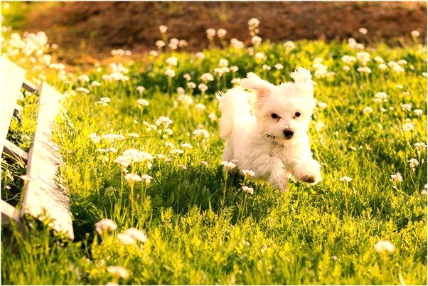 夢見朋友不洗澡只是乾搓會有什麼預兆_周公解夢官網
