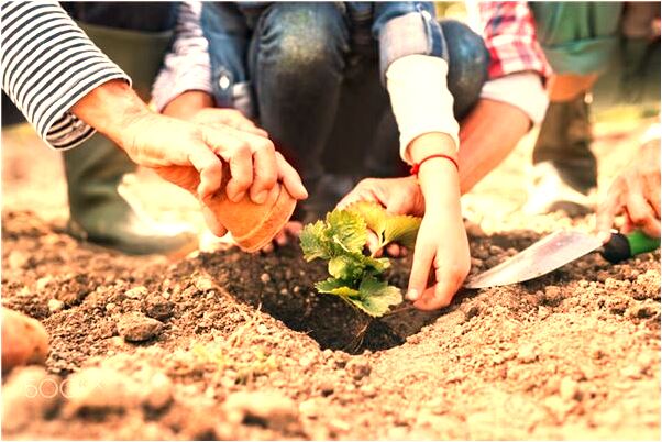 夢見被別人推到河裡是什麼兆頭_周公解夢官網