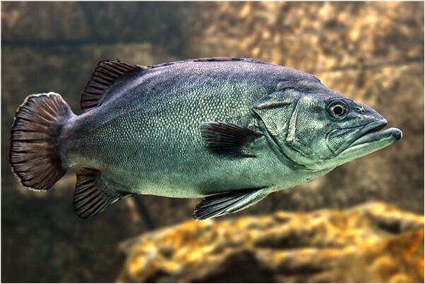 夢到了老公出軌跟婆婆打架有什麼預兆_周公解夢官網