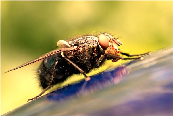 夢到了別人和我殺龍是好的徵兆嗎_周公解夢官網