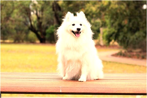 夢見前夫來家裡拿東西有什麼說法_周公解夢官網