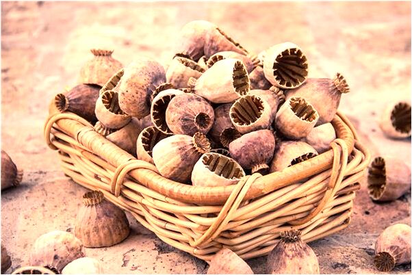 夢到了老所長和我一起哭是什麼意思_周公解夢官網