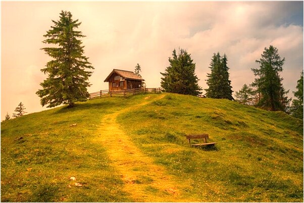 夢到金色菇娘兒什麼預兆_周公解夢官網