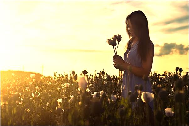 夢到妹妹在和別人上床會是什麼預兆_周公解夢官網