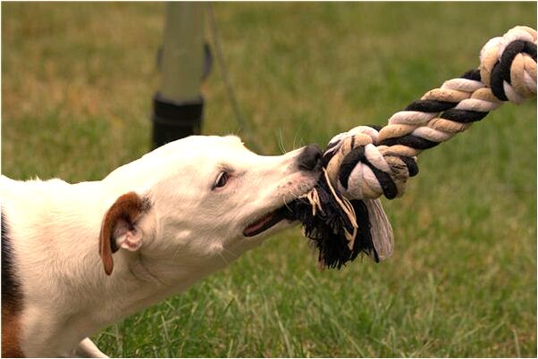 夢到了課堂上組織做實驗是好是壞_周公解夢官網