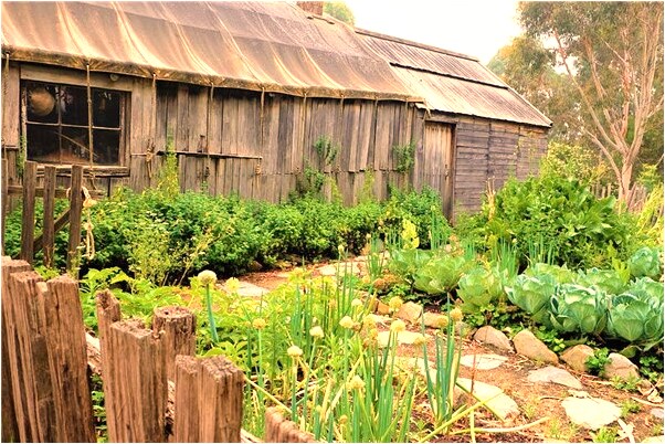 夢見殺人被殺有什麼徵兆_周公解夢官網