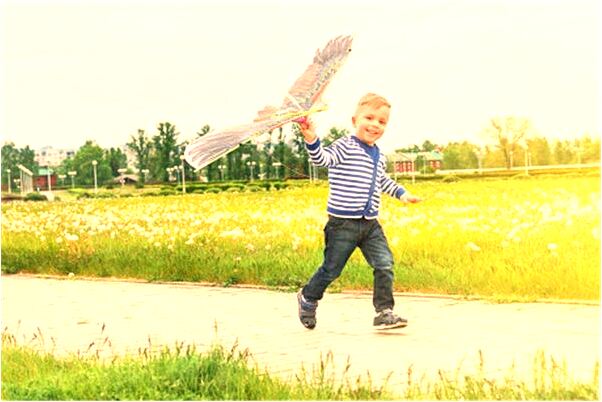 夢到了加入特種兵去訓練還下雨是什麼兆頭_周公解夢官網