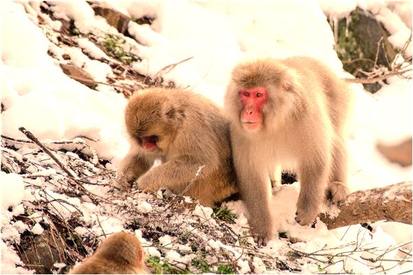 夢見家裡地上全是碎布條會是什麼預兆_周公解夢官網
