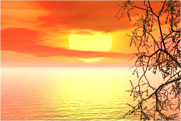 夢到看到了屍體有什麼徵兆_周公解夢官網