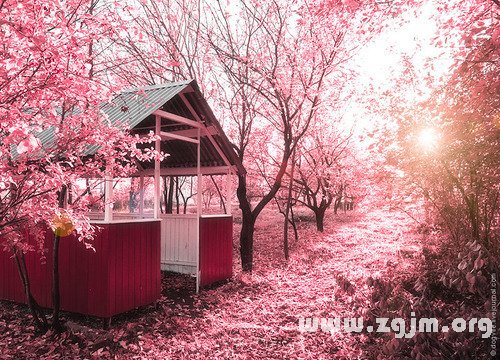 12星座防鬼秘訣_十二星座