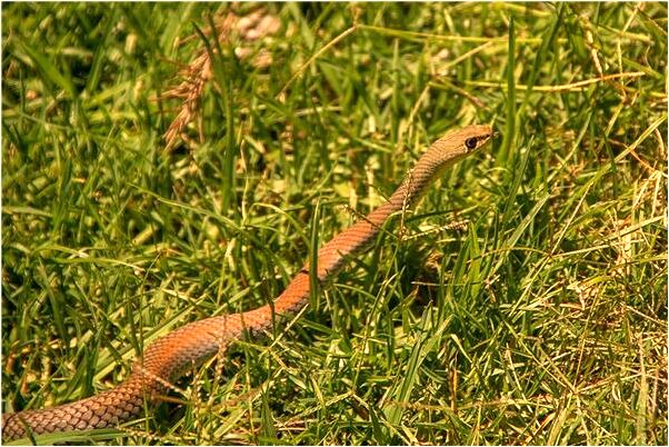 夢見衣服破一個洞什麼寓意_周公解夢官網