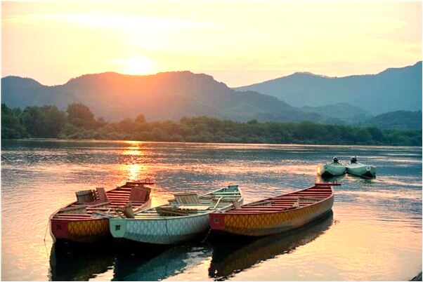 夢到懷孕殺蛇是什麼啟示_周公解夢官網