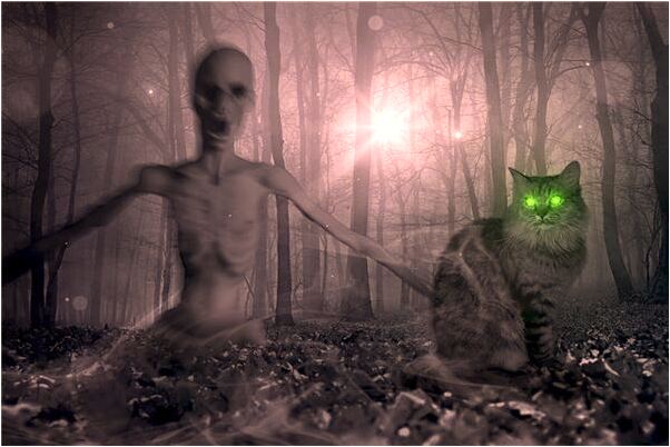 夢到老公被炸死預兆了什麼嗎_周公解夢官網