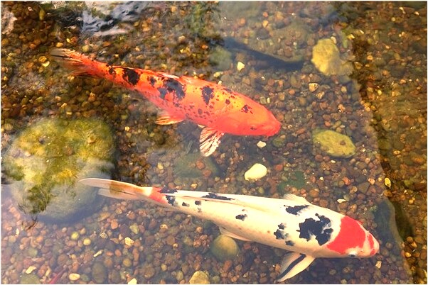 夢見男人抱著小孩是什麼兆頭_周公解夢官網