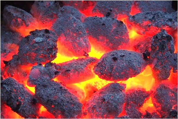 夢見蟲子爬進耳朵里出不來是什麼預兆？_周公解夢官網