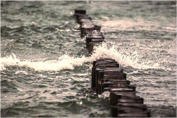 夢見噁心的東西意味什麼_周公解夢官網