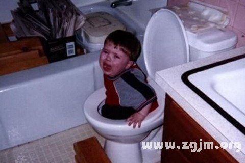 Dreamed that he fell into the toilet