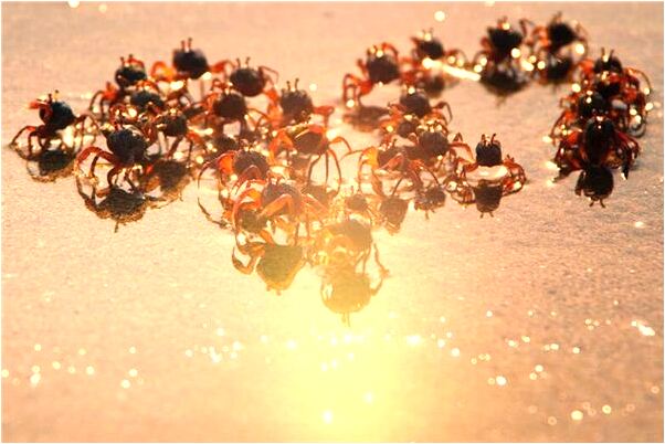 夢見女同學產生情感有什麼說法_周公解夢官網