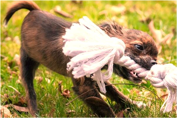 夢見自己被別人踩在腳下意味著什麼_周公解夢官網