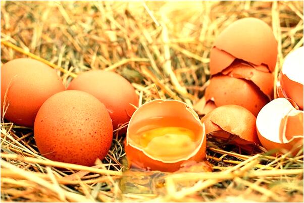 夢到家被搬空是什麼預兆_周公解夢官網