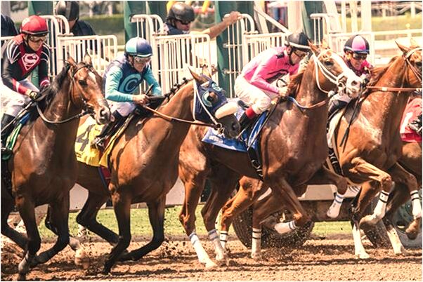 夢到了走廊繫上紅綢大花布會怎么樣_周公解夢官網