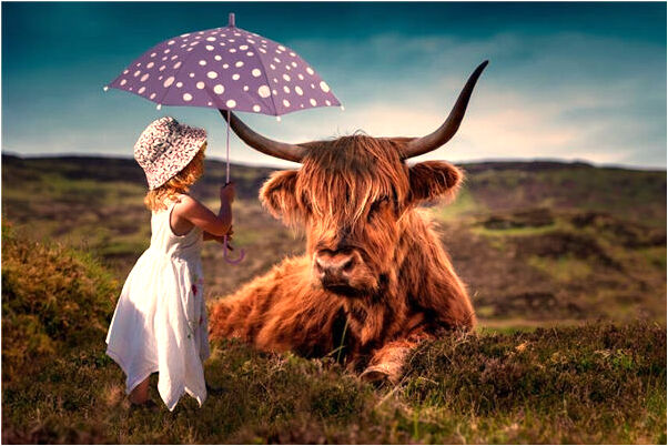 夢到了老媽墮胎預示了什麼_周公解夢官網