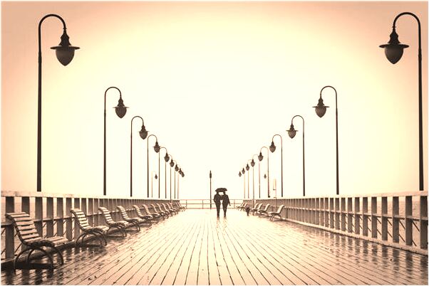 夢到紅茄子是什麼徵兆_周公解夢官網