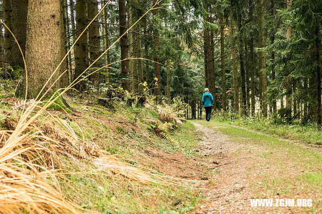 夢見頭髮上有屎_周公解夢夢到頭髮上有屎是什麼意思_做夢夢見頭髮上有屎好不好_周公解夢官網