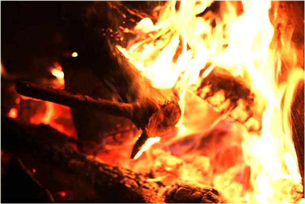 夢見申鵬展是啥意思_周公解夢官網