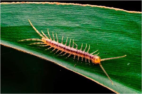 夢到了水上世界有什麼意思嗎_周公解夢官網