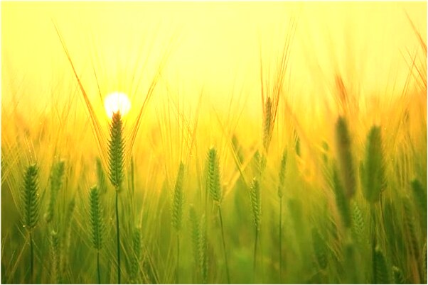 夢到了自己親人的小孩子摔死是好是壞_周公解夢官網