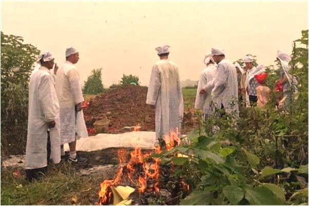 夢見蟒蛇蛻過的皮在樹上怎么樣_周公解夢官網
