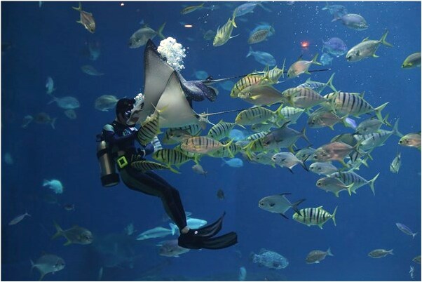 夢見自己穿老家服裝很漂亮預示什麼_周公解夢官網