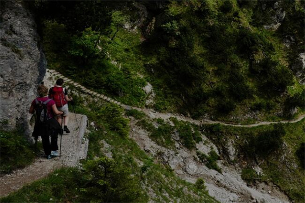 夢見上坡下坡有何寓意_周公解夢