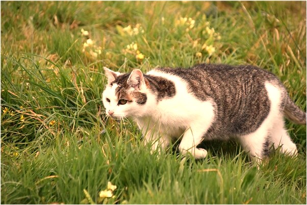 夢見人靈魂復生是好的徵兆嗎_周公解夢官網