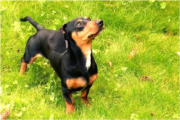 夢到了前男友死去是好事還是壞事_周公解夢官網