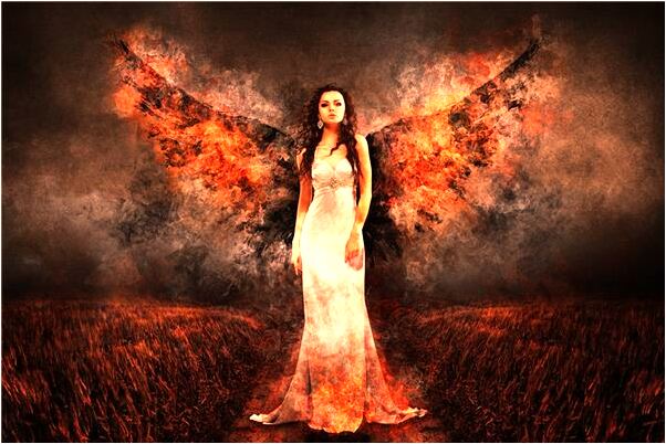 夢到了一條小蛇裝進上衣口袋是不是好的徵兆呢_周公解夢官網