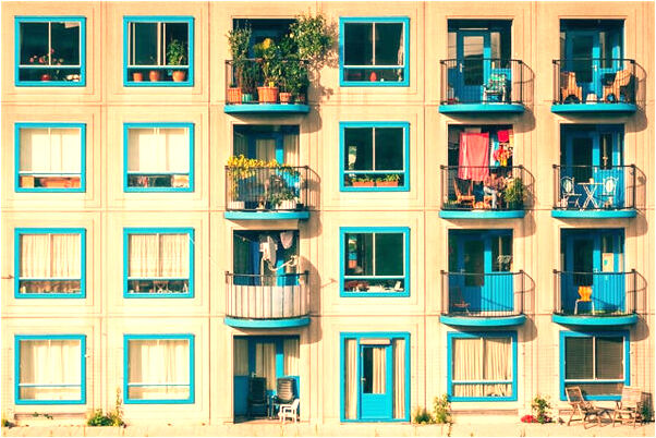 夢到撿到一隻白色小寵物狗有什麼說法_周公解夢官網