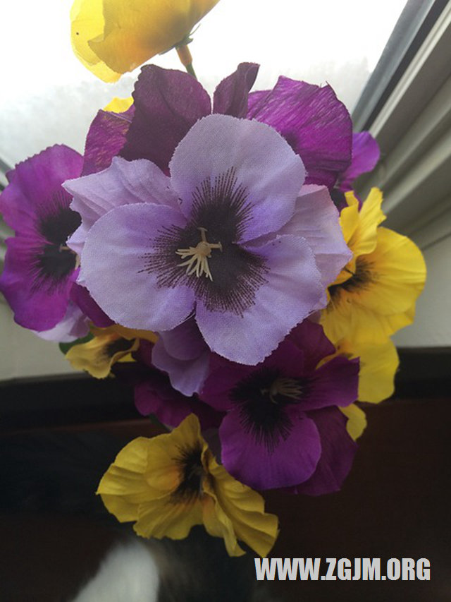 夢見小孩吃屎_周公解夢夢到小孩吃屎是什麼意思_做夢夢見小孩吃屎好不好_周公解夢官網