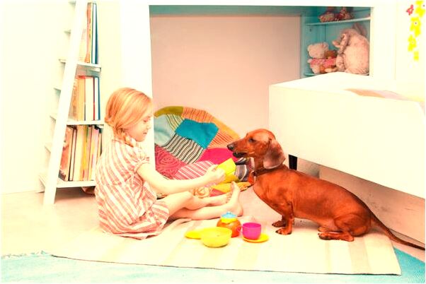 夢見很多燈比平時更明亮有什麼說法_周公解夢官網