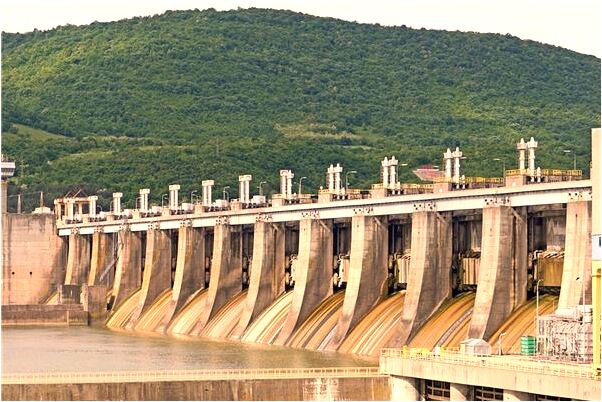 夢到了被貓舔有什麼預兆_周公解夢官網