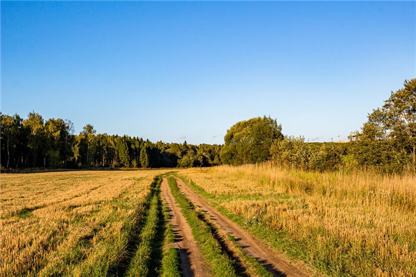 夢見路斷_周公解夢